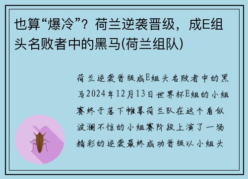 也算“爆冷”？荷兰逆袭晋级，成E组头名败者中的黑马(荷兰组队)